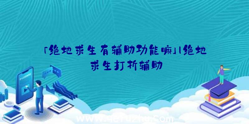 「绝地求生有辅助功能嘛」|绝地求生打折辅助